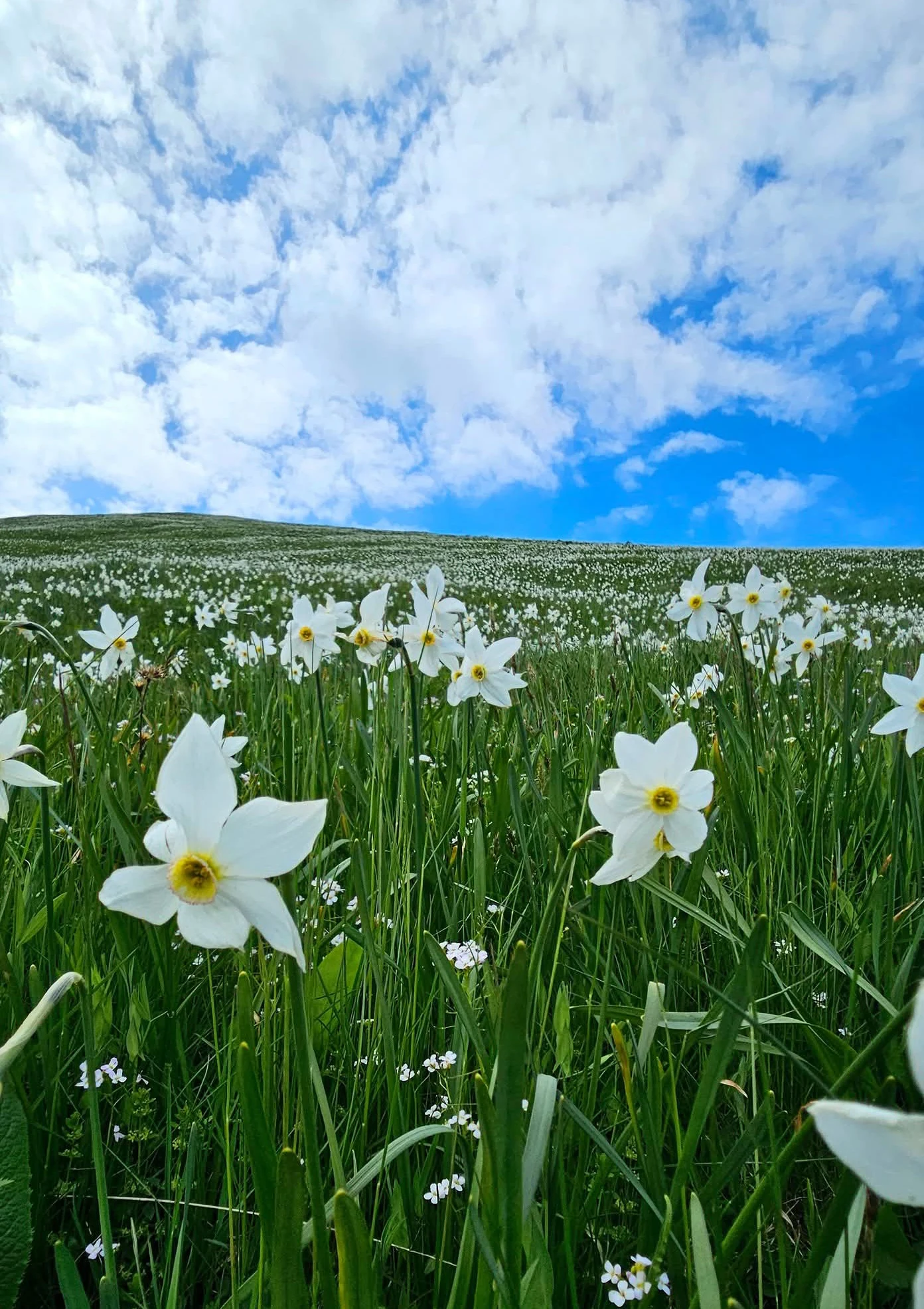 FB IMG 1749846162512 1