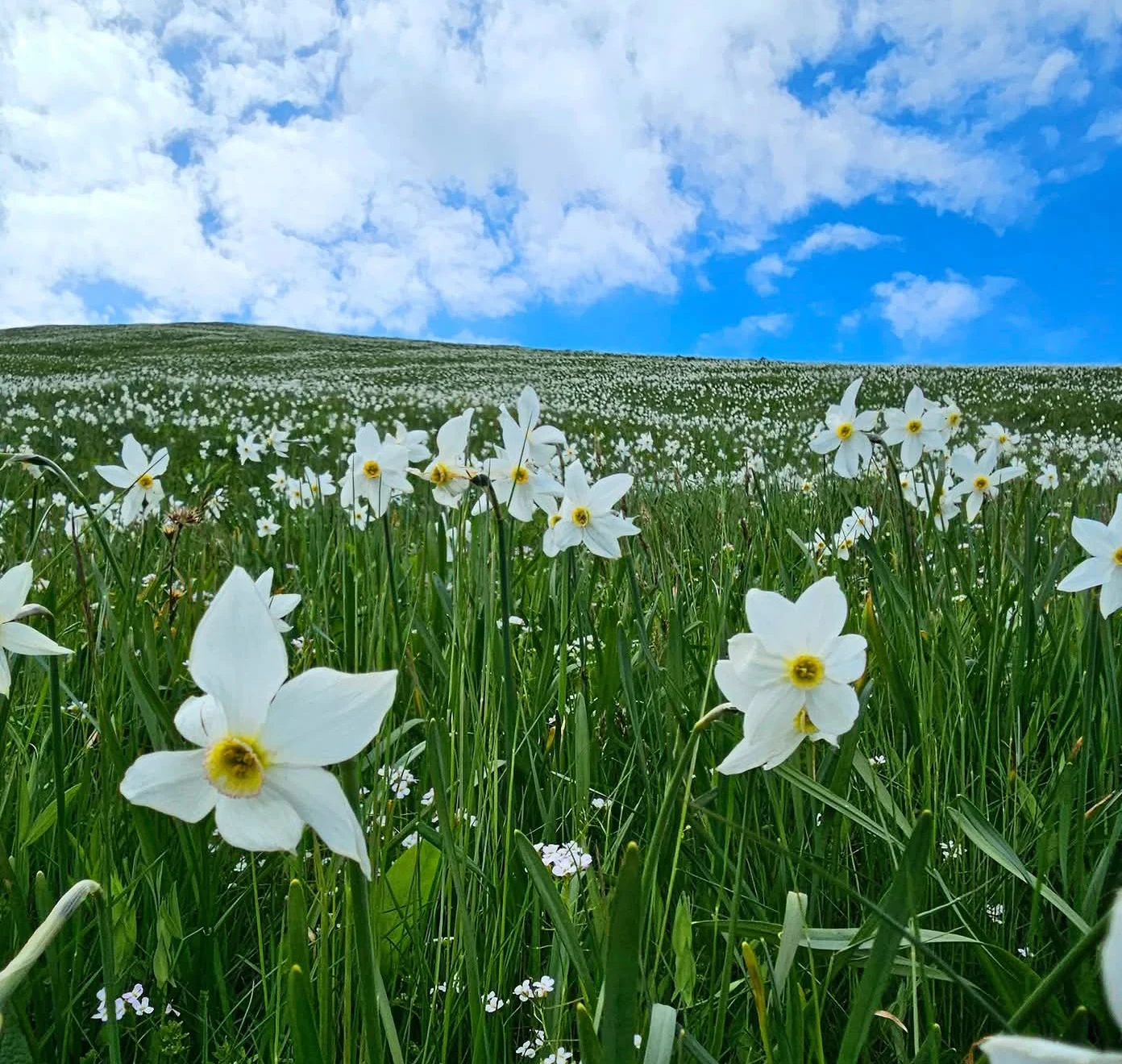 Otvoreni su upisi u Prvu godinu Pathworka koja kreće u septembru, uživo u Rijeci. 